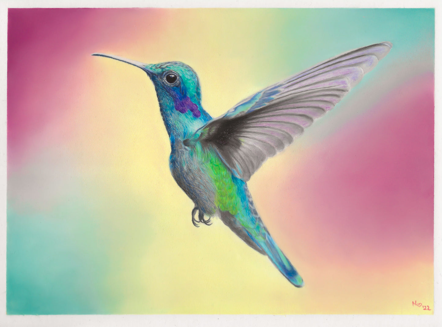 Hummingbird Print