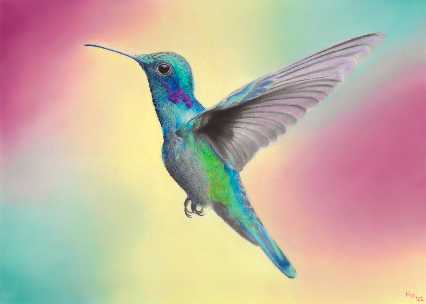 Hummingbird Print